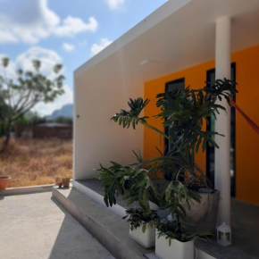 Casa VIVA! 3